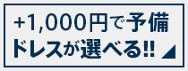 +1,000円で予備のレンタルドレスが選べる